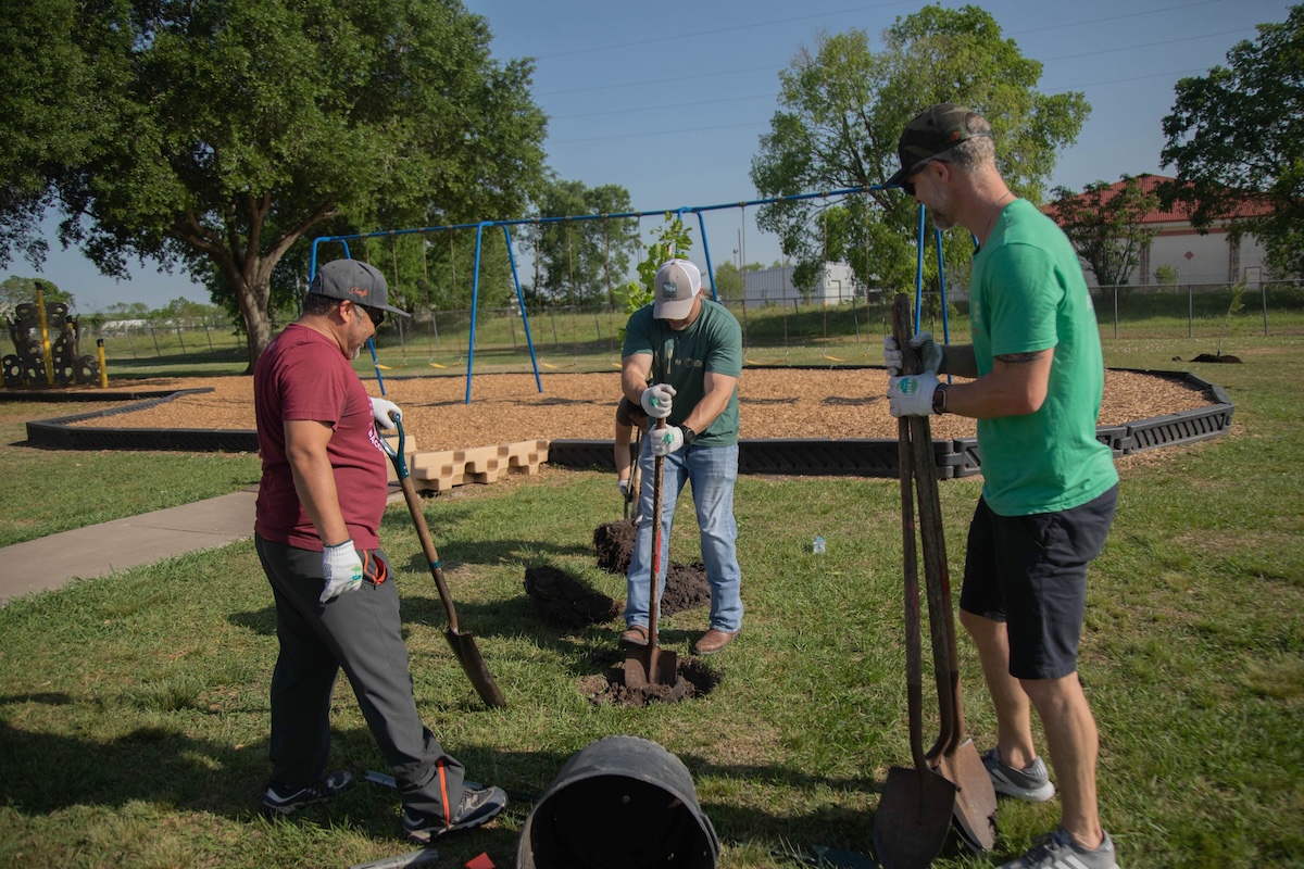 men planting trees