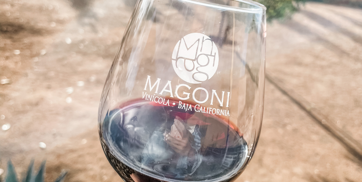 glass of red wine