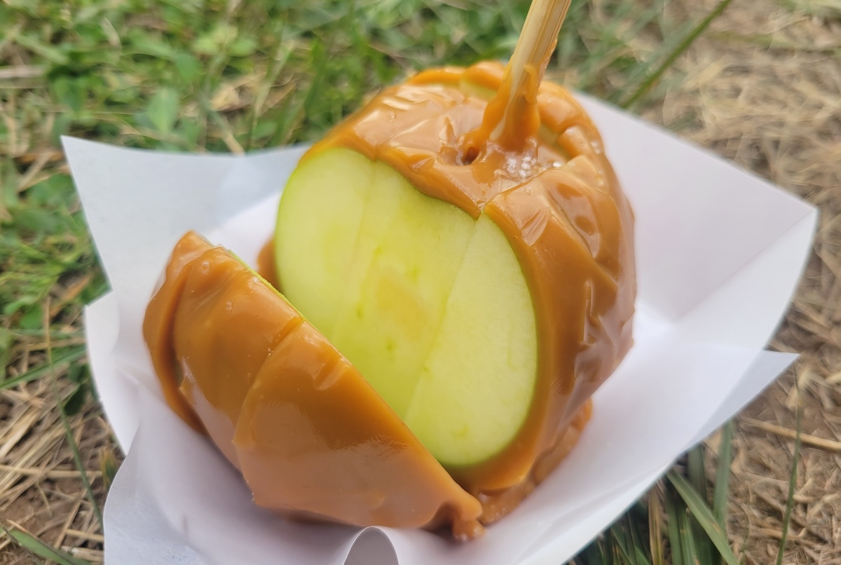 caramel_apple_by_linnea_covington Every year the corn maze at Chatfield Farms has the best caramel apples. | Photo by Linnea Covington