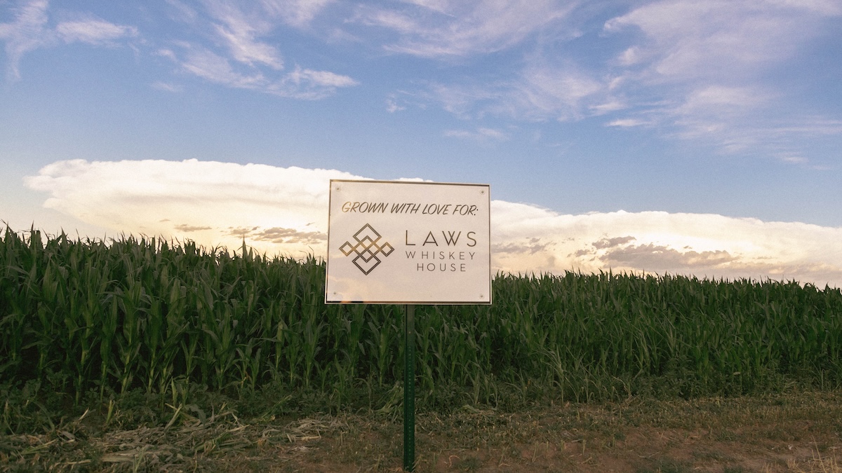 In Burlington the Whiskey Sisters Supply grows corn. | Photo by Laws Whiskey House