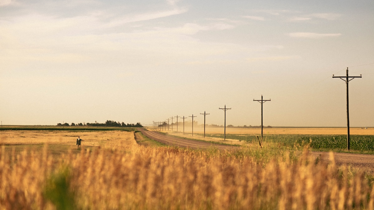 A stretch of gains grown by Whiskey Sisters Supply. | Photo by Laws Whiskey House