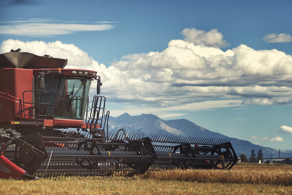 Cody Brothers Family Farm grows grains. | Photo by Laws Whiskey House