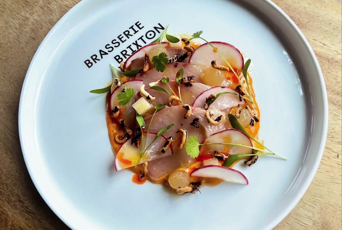brasserie_brixton_hamachi The Hamachi Crudo is a true delight. | Photo by Brasserie Brixton