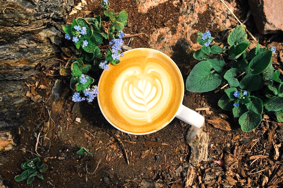 Coffee and plants? Yes please, this patio in Boulder has it all. | Photo by Steam Espresso Bar