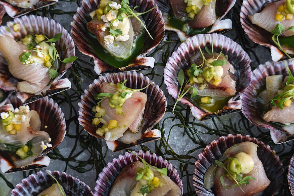 Surf comes to Denver. | Photo by DiningOut Events