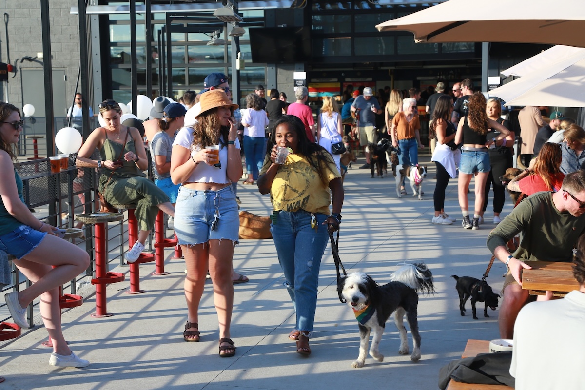 number_38_patio_dogs