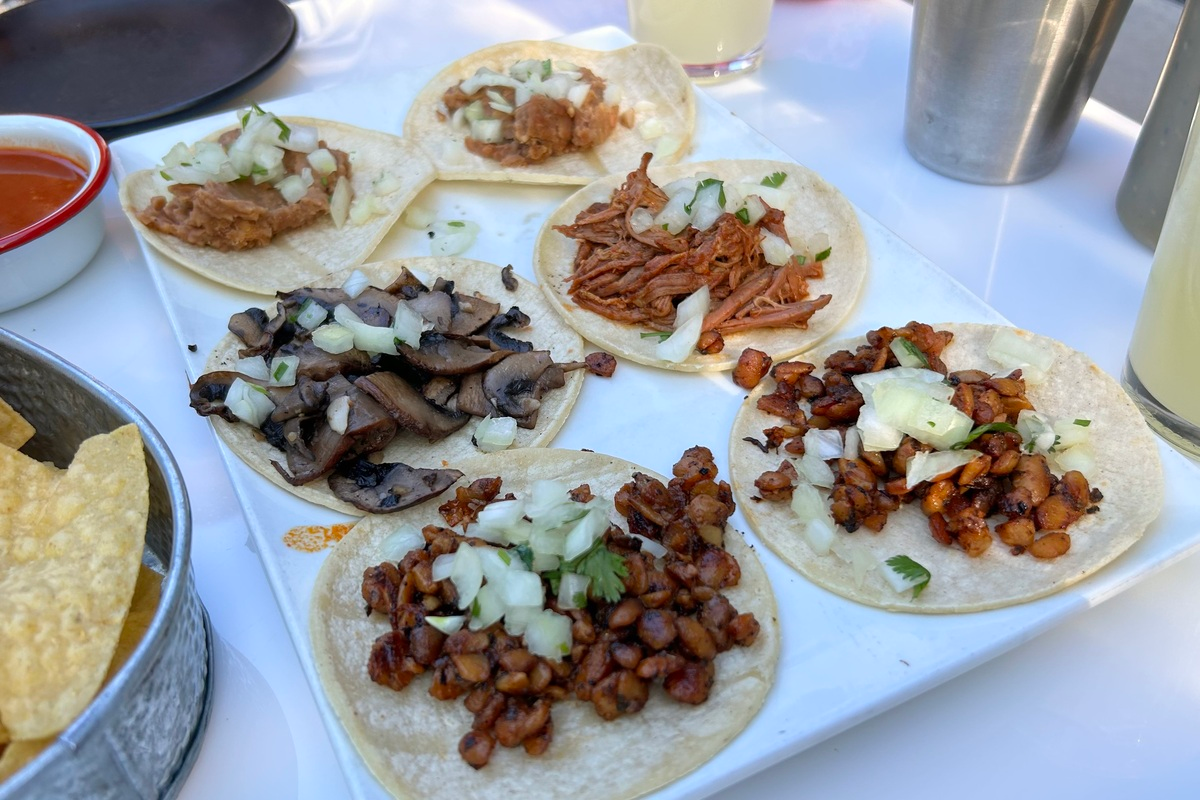 El_Camino_by_Abigail_Bliss A white plate holds six street tacos from El Camino, each topped with different fillings like mushrooms, shredded pork, beans, and seasoned meat with onions.