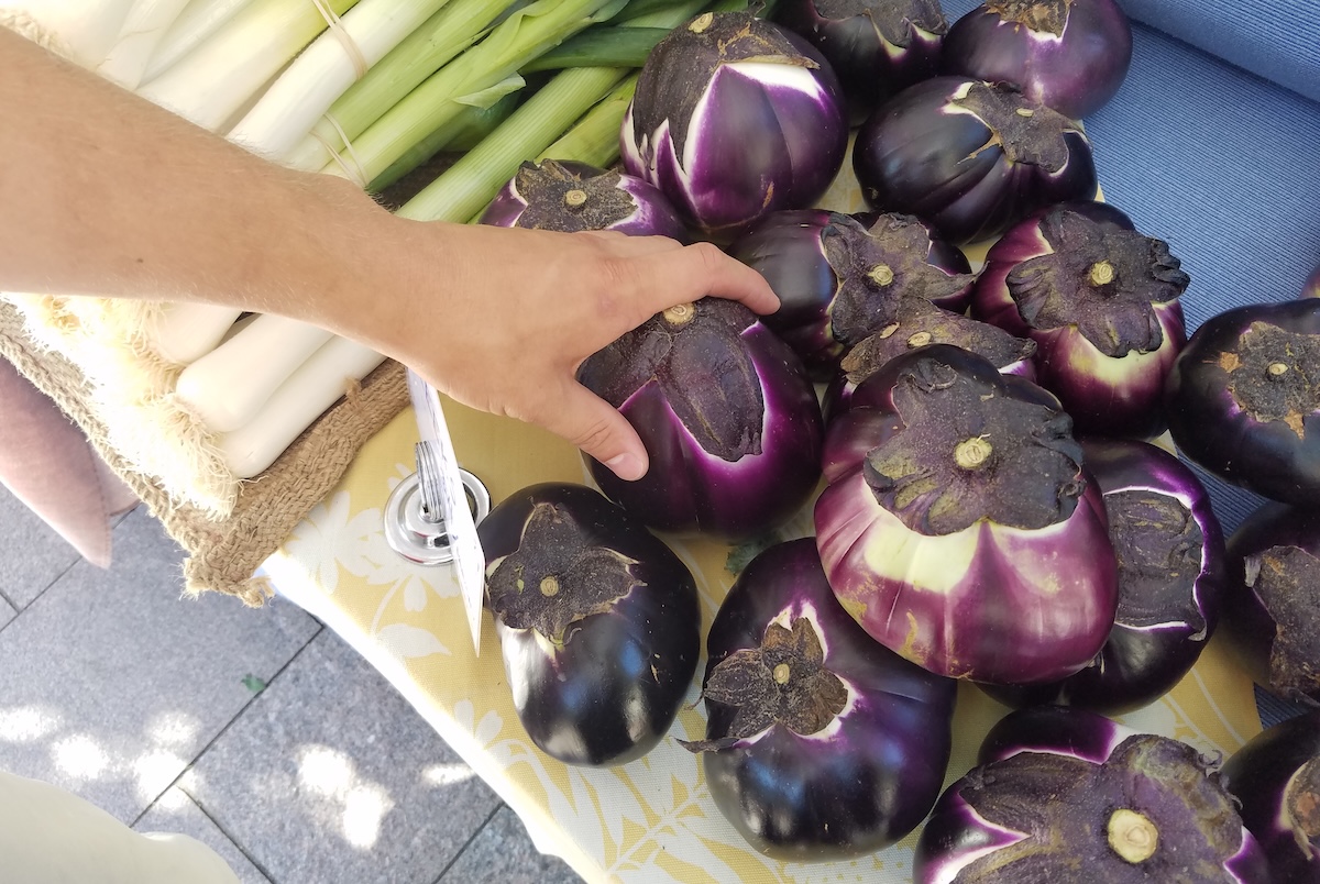 farmers_market_eggplant_by_covington Fresh eggplant found in the summer farmers' market. | Photo by Linnea Covington