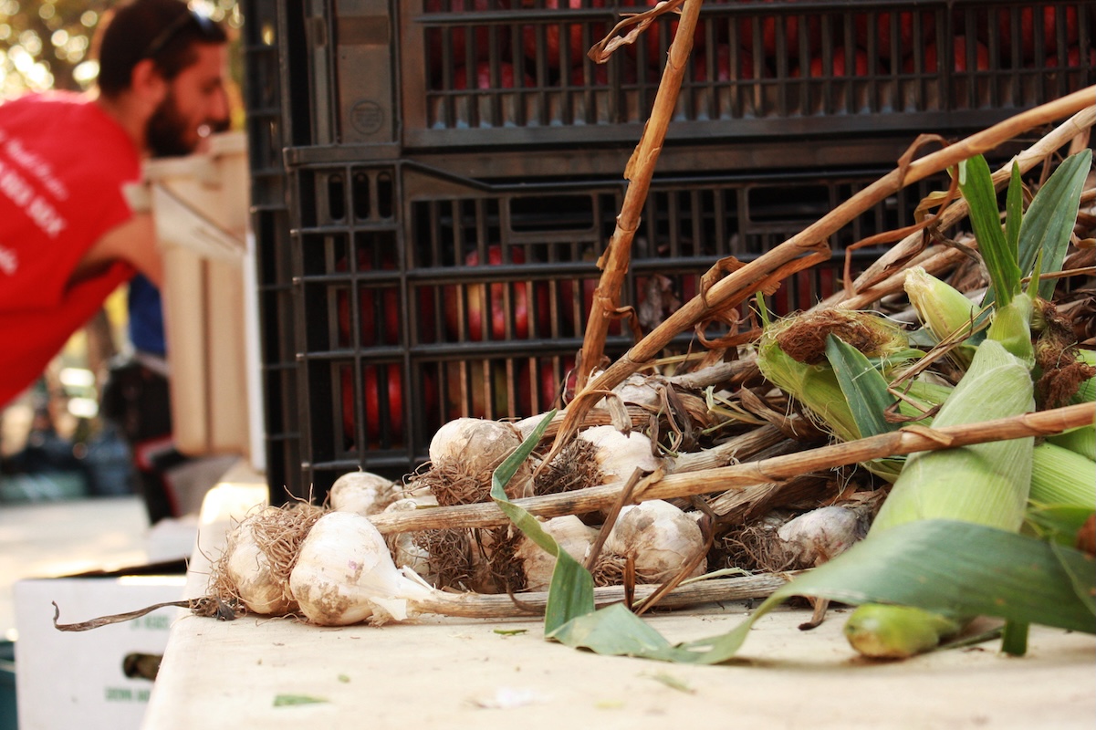 garlic-by Linnea Covington Garlic at the farmers' market. | Photo by Linnea Covington