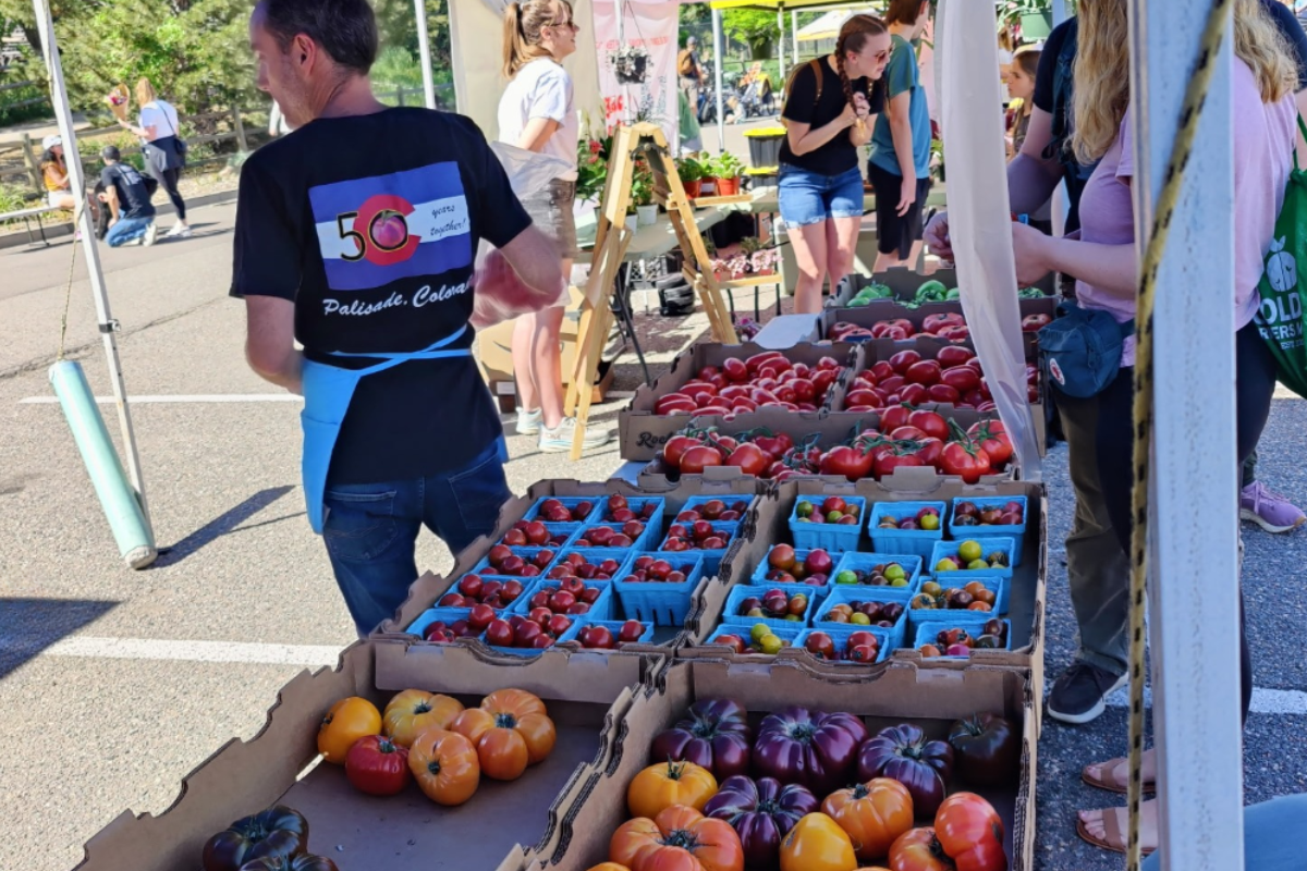 golden farmers market Golden Farmers Market vendor stand featuring a colorful display of heirloom, cherry, and vine tomatoes in baskets and boxes, with shoppers browsing in the background.