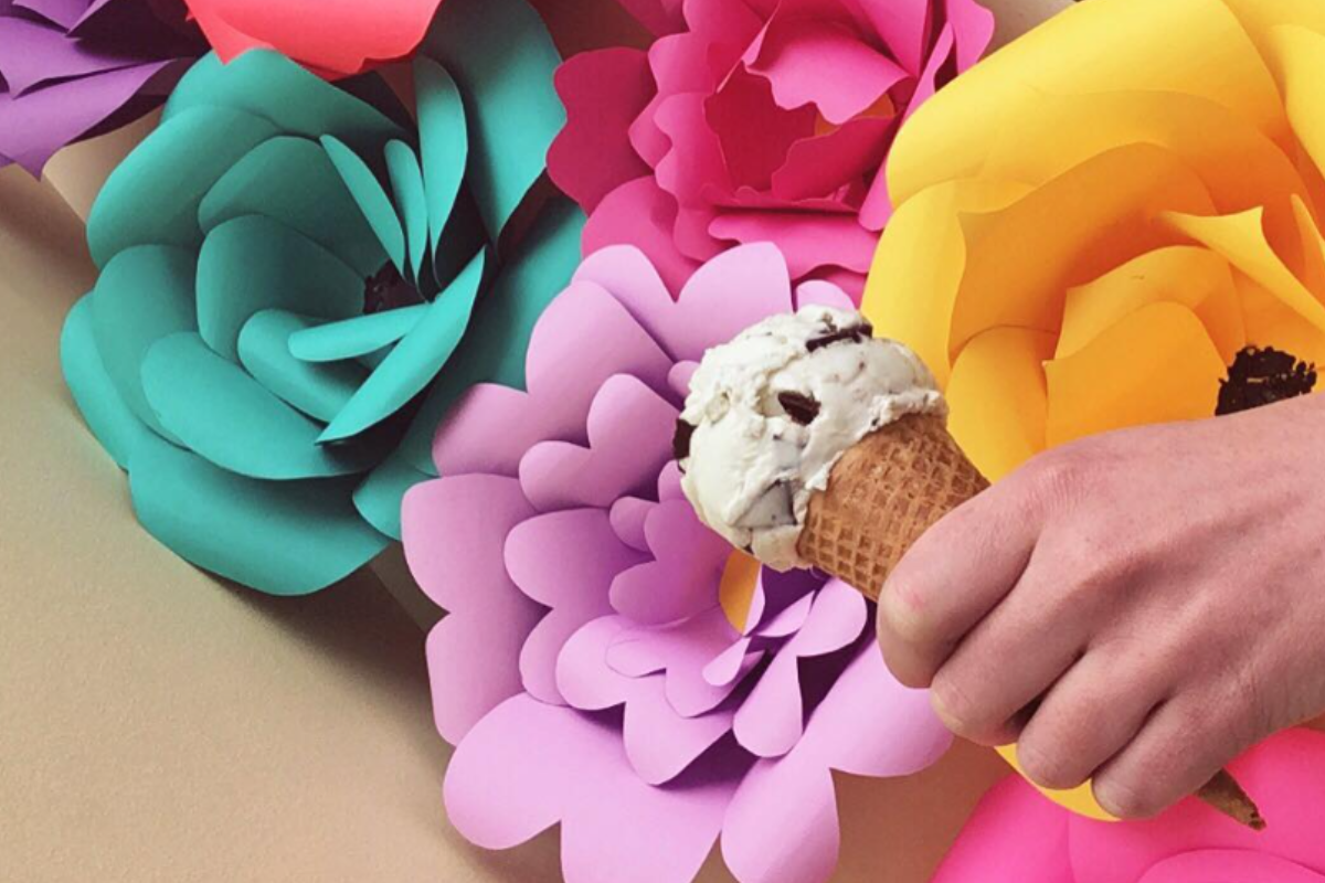 golden sweets A hand holds a Day Dreams & Ice Cream cone from Golden Sweets in front of bright paper flowers, featuring chocolate chip ice cream.