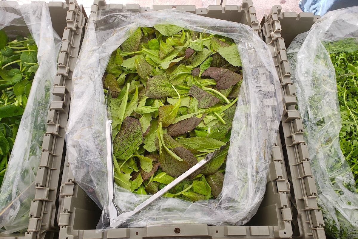 lettuce_farmers_market_by_covington Bag your own lettuce at your local farmers' market. | Photo by Linnea Covington
