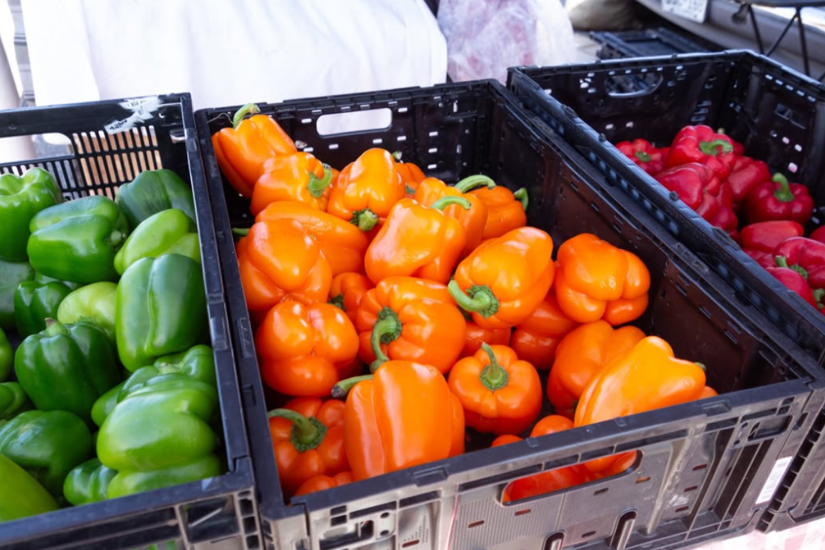 southwest plaza farmers market Southwest Plaza Farmers Market display with black crates filled with fresh green, orange, and red bell peppers neatly arranged and ready for shoppers.