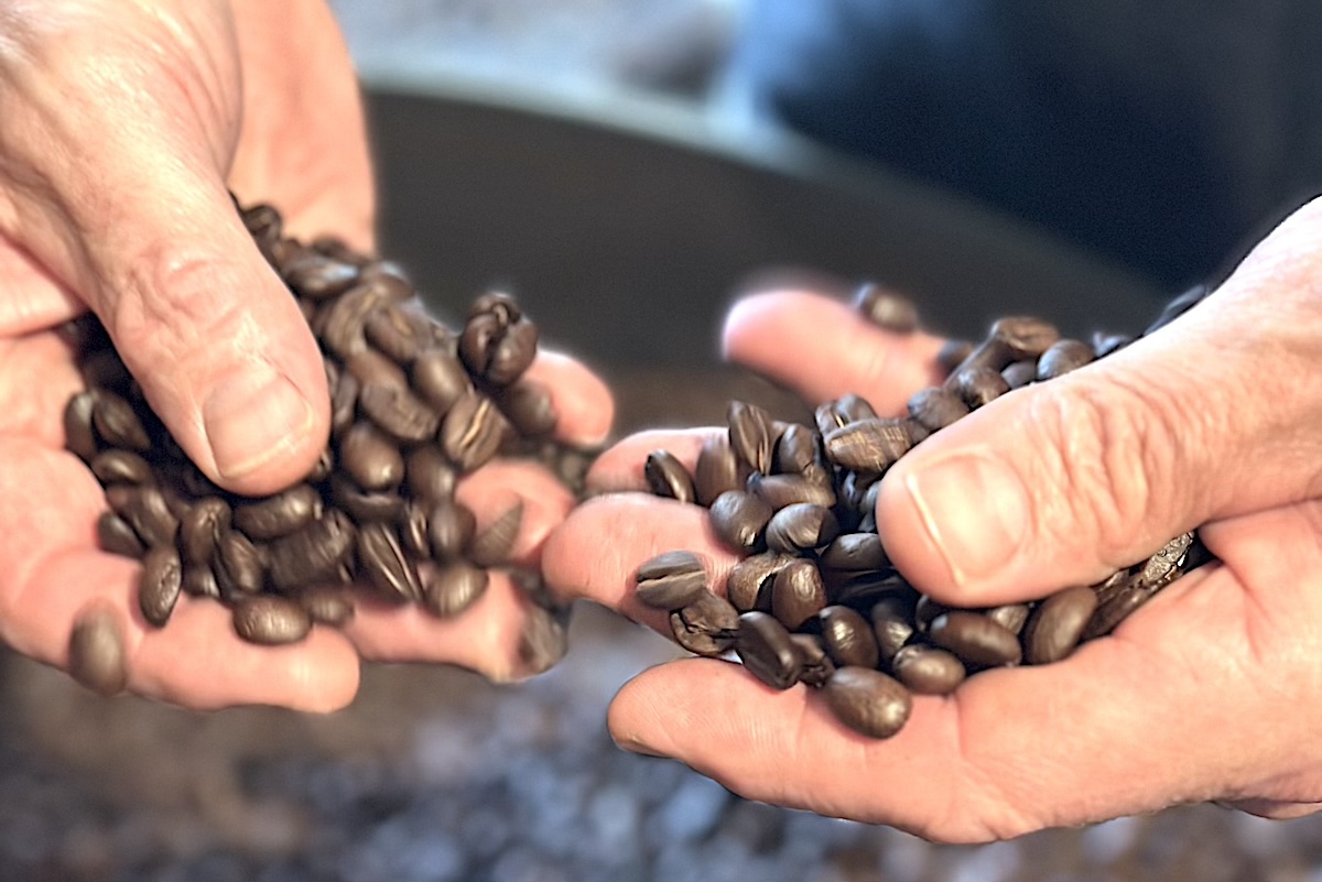 The freshly roasted coffee beans at Muddy Buck. | Photo by Kevin Foote
