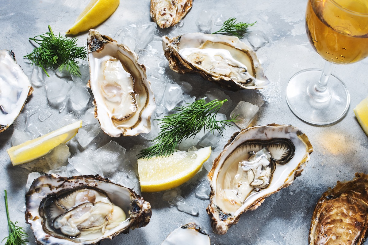 oysters with lemon on table stock image