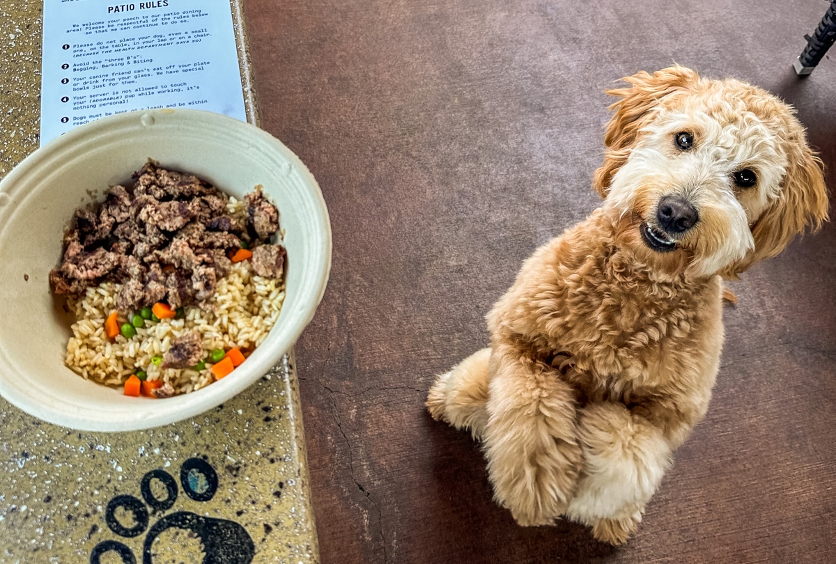 Even dogs have to be patient for their food at Lazy Dog. | Photo courtesy of Marissa Chinn Tuan Pham/hangrypringles