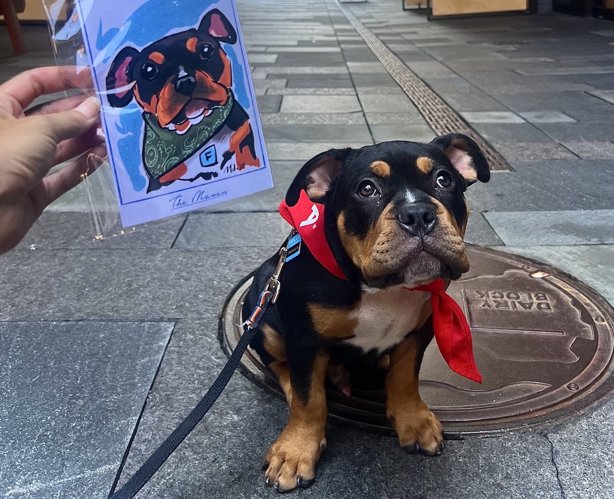 The Maven hosts all sorts of dog-friendly events, like pup drawings. | Photo courtesy of The Maven Hotel