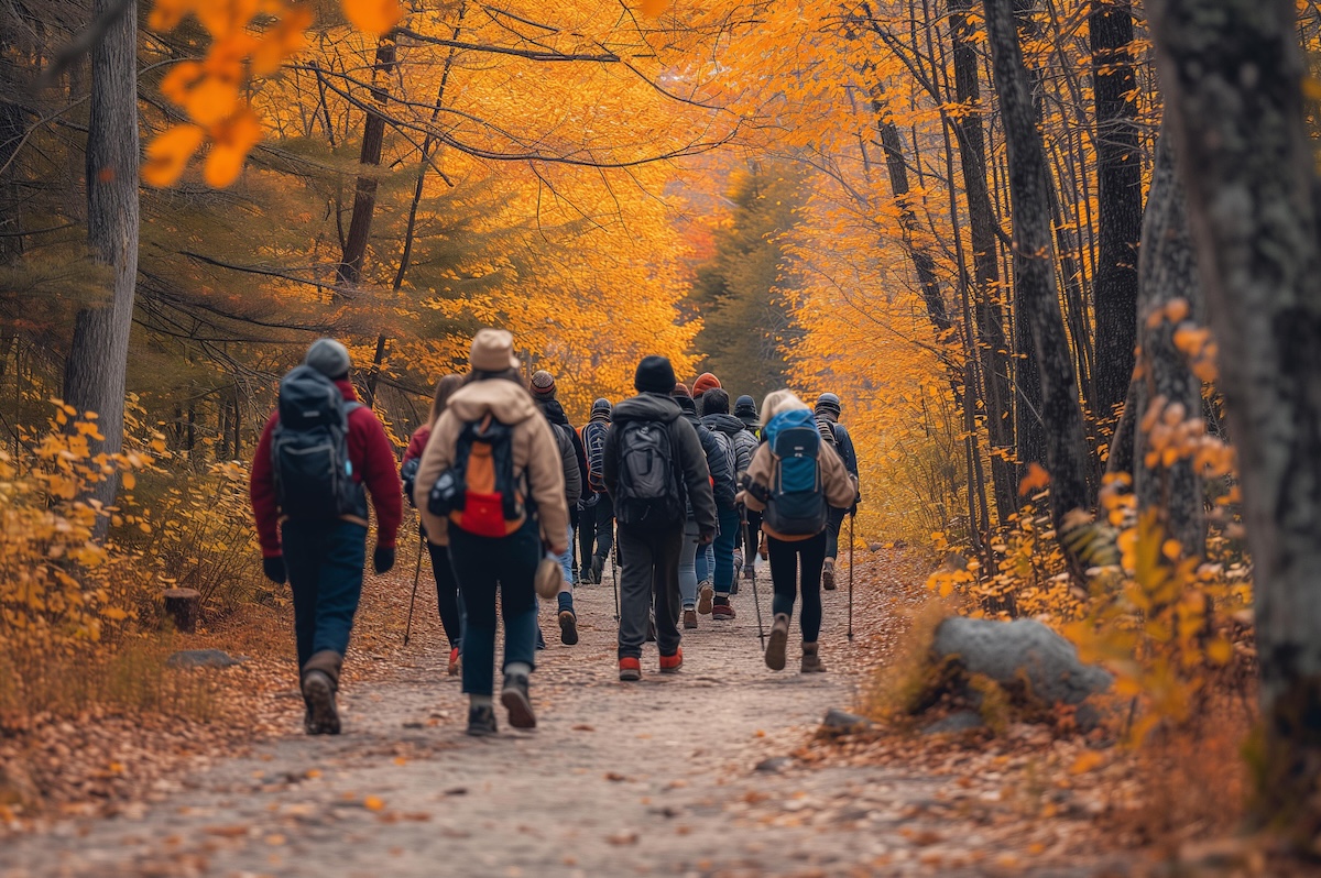 Group of tourists walking in the autumn forest People with backpacks
stock
fall